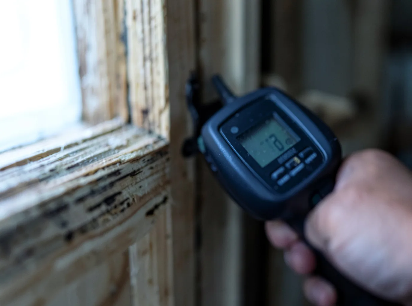 Moisture Inspection And Documentation in Winchester, NV
